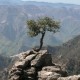 49_urlaub_mexico_divisadero