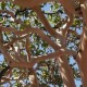 50_urlaub_mexico_divisadero