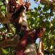 52_urlaub_mexico_divisadero